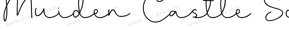 Muiden Castle Script字体转换